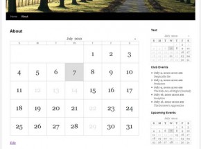 Google Calendar Events